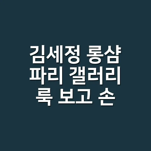 김세정 롱샴 파리 갤러리 룩 보고 손끝까지 맞춰본 후기 - 요약