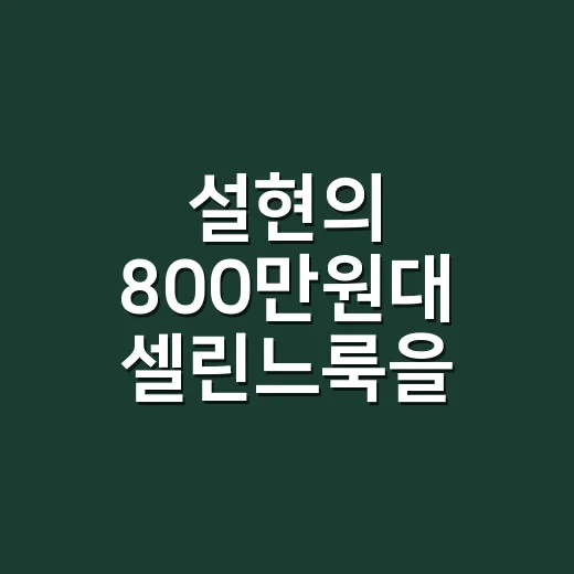 설현의 800만원대 셀린느룩을 네일샵에서 다시 떠올린 날 - 요약