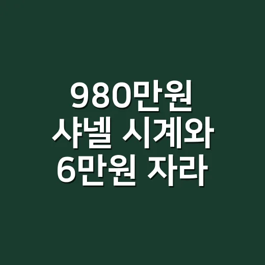 980만원 샤넬 시계와 6만원 자라 스커트를 본 날, 손끝이 먼저 보였다 - 요약