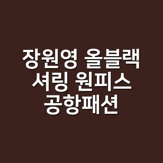 장원영 올블랙 셔링 원피스 공항패션 보고 손끝까지 따라 맞춰본 이야기 - 요약