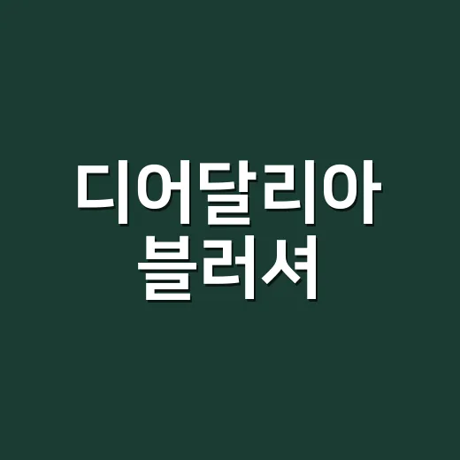 디어달리아 블러셔, 손님 얼굴빛 보고 따라 샀다가 파우치 고정템 된 이야기 - 요약