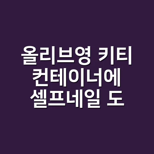 올리브영 키티 컨테이너에 셀프네일 도구 넣어봤더니 생긴 변화 - 요약