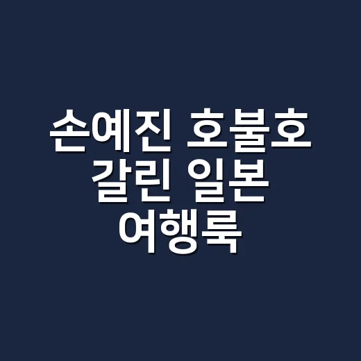손예진 호불호 갈린 일본 여행룩, 네일리스트 눈으로 다시 봤더니 - 요약