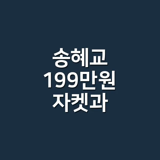 송혜교 199만원 자켓과 9만원대 가방, 손끝까지 맞춰본 후기 - 요약