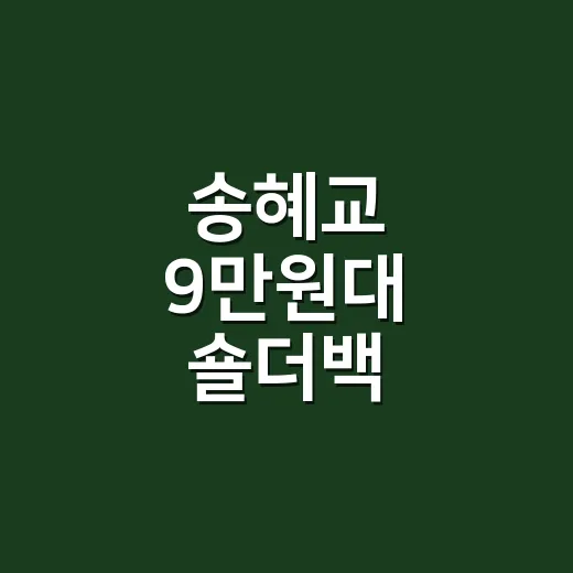 송혜교 9만원대 숄더백, 손님이 캡처해 와서 같이 본 사복 코디템 이야기 - 요약