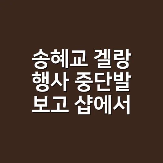 송혜교 겔랑 행사 중단발 보고 샵에서 바로 떠올린 네일 컬러 이야기 - 요약