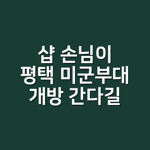 샵 손님이 평택 미군부대 개방 간다길래 손끝부터 챙겨본 이야기 - 요약