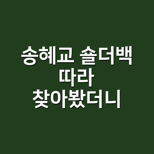 송혜교 숄더백 따라 찾아봤더니, 명품보다 먼저 보이는 디테일 - 요약