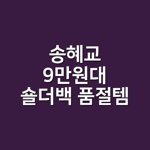 송혜교 9만원대 숄더백 품절템, 손님 캡처 보고 네일 색까지 맞춰본 후기 - 요약