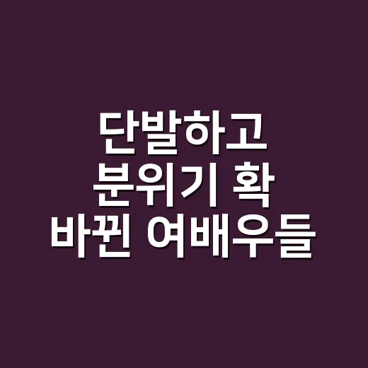 단발하고 분위기 확 바뀐 여배우들, 손님들이 사진 들고 온 진짜 이유 - 요약