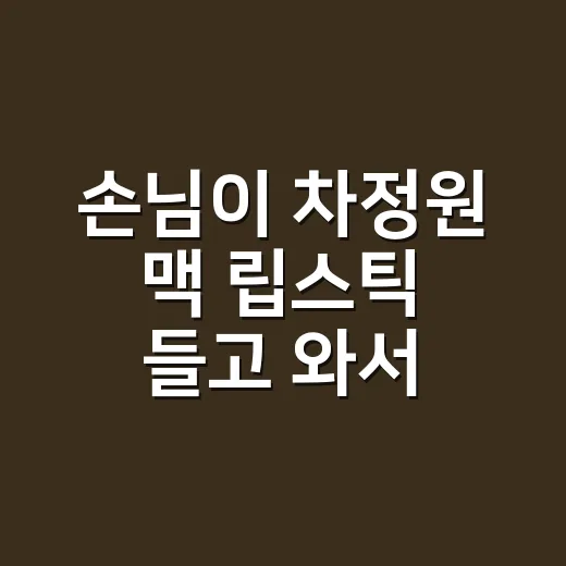 손님이 차정원 맥 립스틱 들고 와서 네일 컬러까지 맞춰본 후기 - 요약