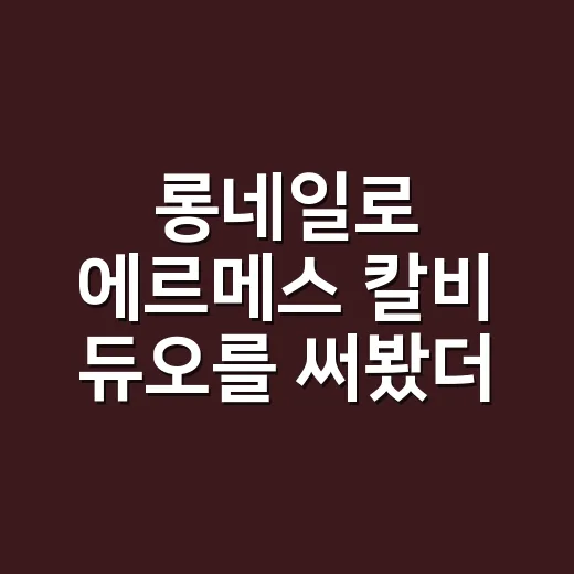 롱네일로 에르메스 칼비 듀오를 써봤더니, 예쁜데 은근 현실적인 카드지갑 이야기 - 요약
