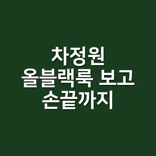 차정원 올블랙룩 보고 손끝까지 맞춰봤더니, 563만원 펜디 가방보다 먼저 보인 것 - 요약