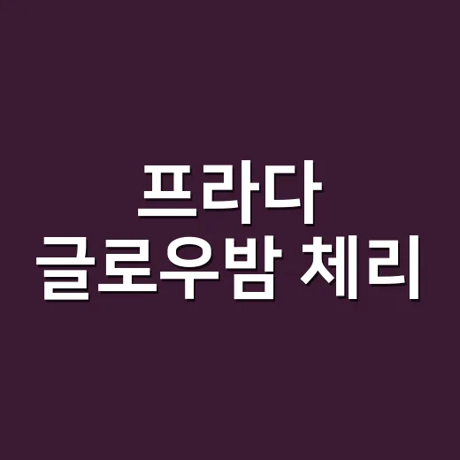 프라다 글로우밤 체리, 샵에서 하루 발라봤더니 손님들이 먼저 물어본 색 - 요약