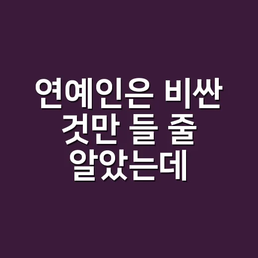 연예인은 비싼 것만 들 줄 알았는데, 저렴이 가방이 손끝을 더 살리더라 - 요약