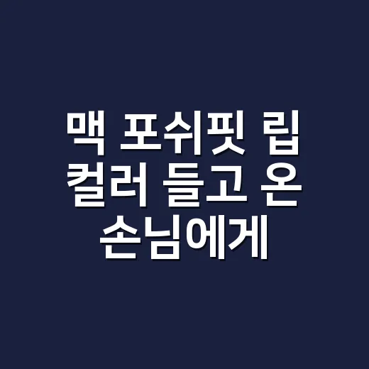 맥 포쉬핏 립 컬러 들고 온 손님에게 네일로 맞춰드려봤더니 - 요약