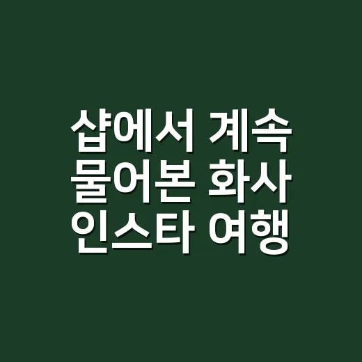 샵에서 계속 물어본 화사 인스타 여행 사복, 11만원대 니트의 진짜 이야기 - 요약