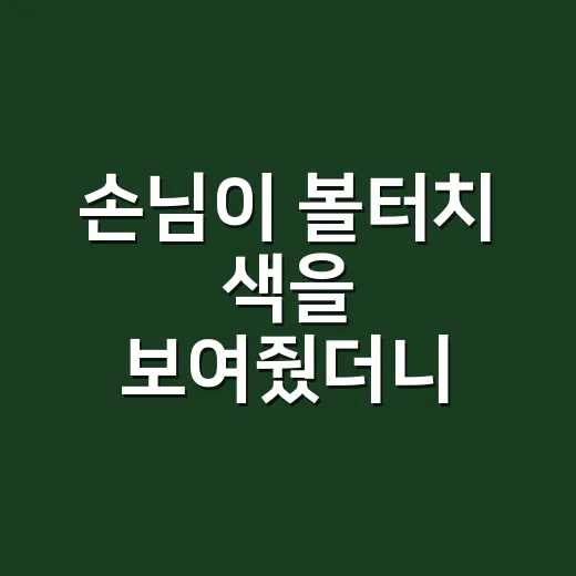 손님이 볼터치 색을 보여줬더니 로라메르시에 구아바 네일이 완성된 날 - 요약