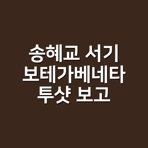 송혜교 서기 보테가베네타 투샷 보고 손끝 컬러까지 맞춰본 날 - 요약