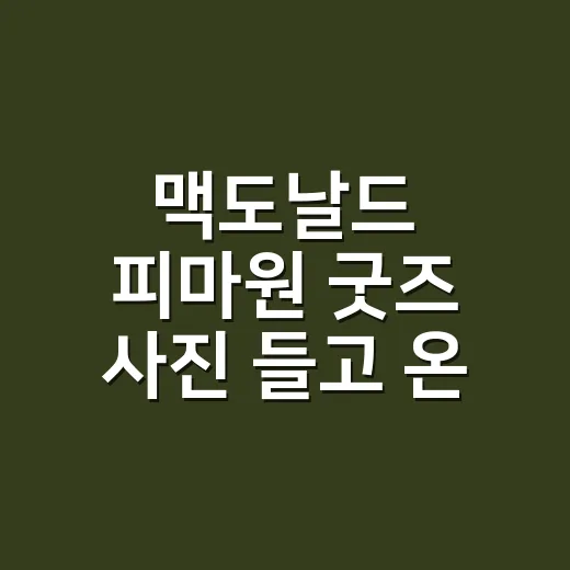맥도날드 피마원 굿즈 사진 들고 온 손님, 손끝에 얹어봤더니 - 요약