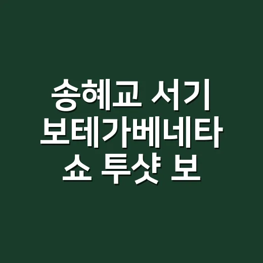 송혜교 서기 보테가베네타 쇼 투샷 보고 손끝 컬러까지 바꿔본 날 - 요약