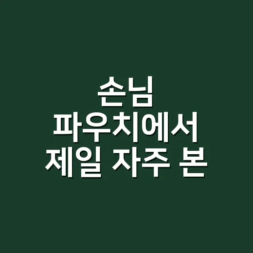 손님 파우치에서 제일 자주 본 맥 립스틱, 직접 발라보며 느낀 진짜 이야기 - 요약