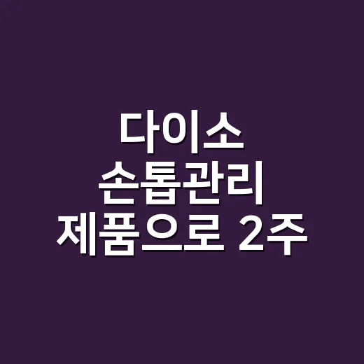 다이소 손톱관리 제품으로 2주 버틴 손끝, 네일리스트가 직접 굴려본 이야기 - 요약