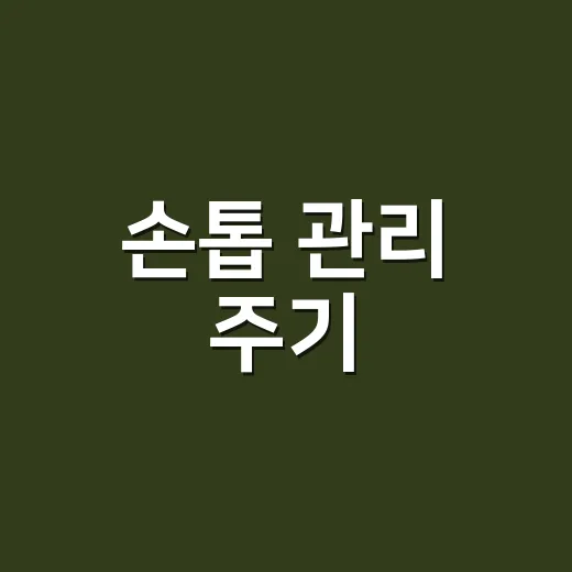 손톱 관리 주기, 8년 동안 손님 손끝 보며 배운 진짜 이야기 - 요약