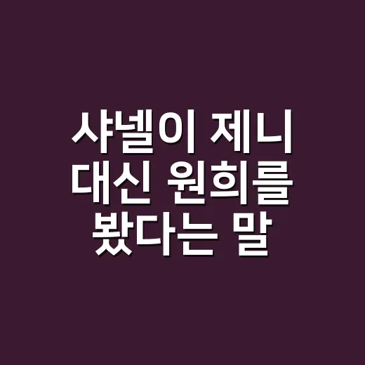 샤넬이 제니 대신 원희를 봤다는 말, 네일숍에서 손끝으로 읽어본 후기 - 요약