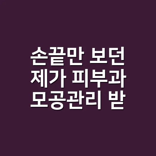 손끝만 보던 제가 피부과 모공관리 받아보고 느낀 진짜 차이 - 요약