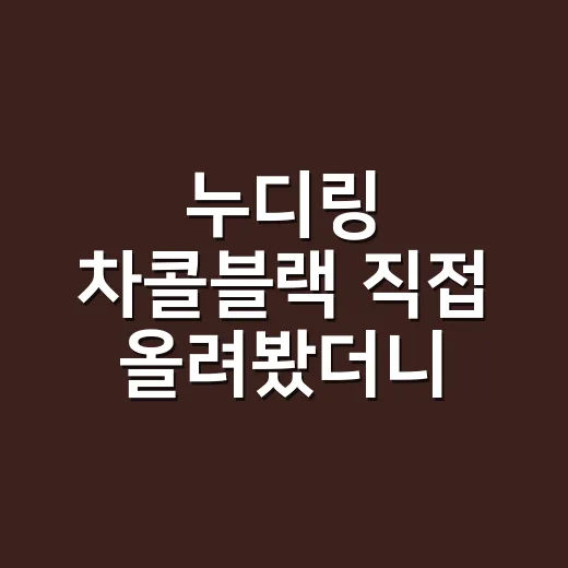 누디링 차콜블랙 직접 올려봤더니 손이 더 얇아 보였던 이유 - 요약