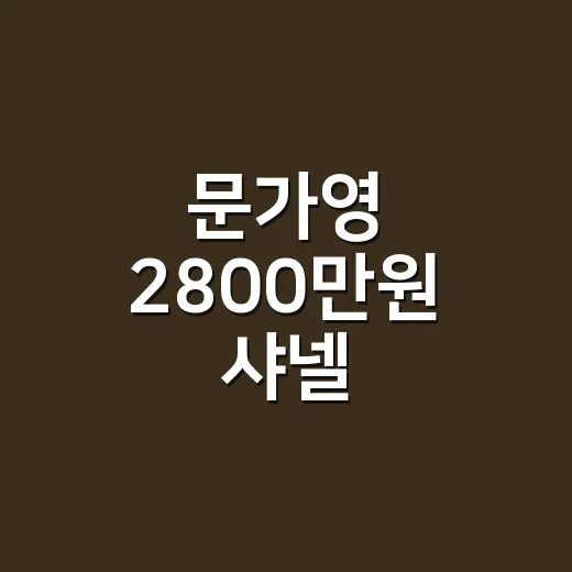 문가영 2800만원 샤넬 딥브이넥룩 보고 떠올린, 손끝까지 비싸 보이는 법 - 요약