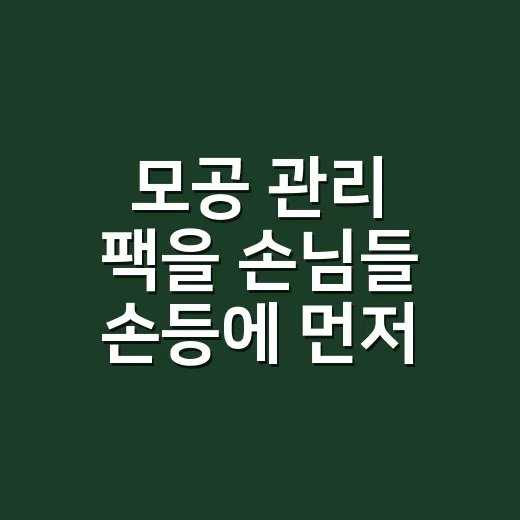 모공 관리 팩을 손님들 손등에 먼저 테스트해봤더니 알게 된 진짜 차이 - 요약