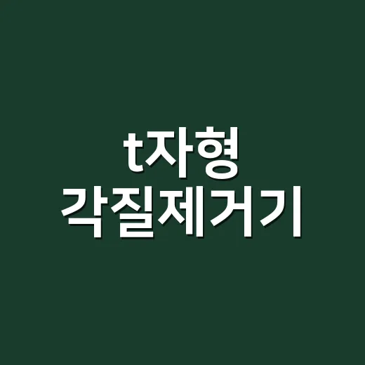 t자형 각질제거기, 샵 손님 발뒤꿈치에 직접 써보며 느낀 진짜 이야기 - 요약