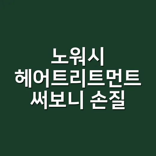 노워시 헤어트리트먼트 써보니 손질 시간이 달라졌다 - 요약
