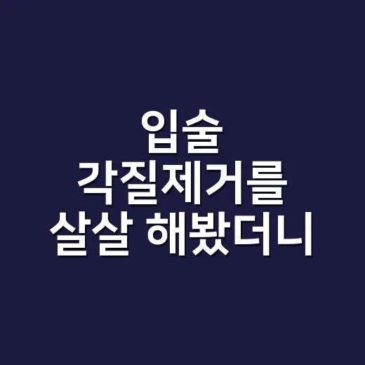 입술 각질제거를 살살 해봤더니 립이 달라졌다 - 요약