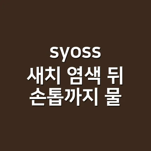 syoss 새치 염색 뒤 손톱까지 물든 손님 이야기 - 요약