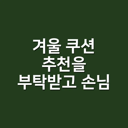 겨울 쿠션 추천을 부탁받고 손님 얼굴부터 봤어요 - 요약