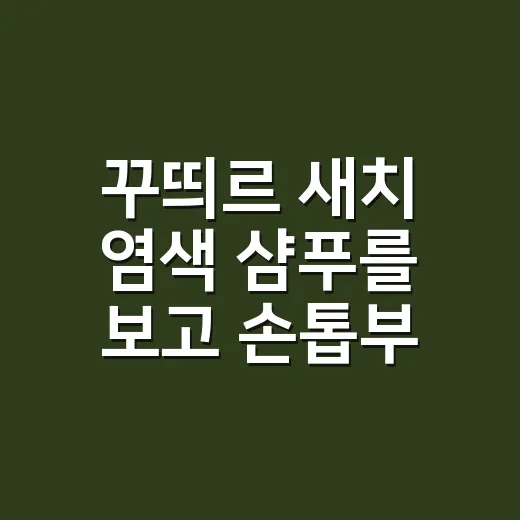 꾸띄르 새치 염색 샴푸를 보고 손톱부터 챙긴 이유 - 요약