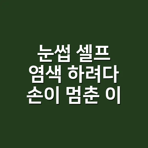 눈썹 셀프 염색 하려다 손이 멈춘 이유 - 요약