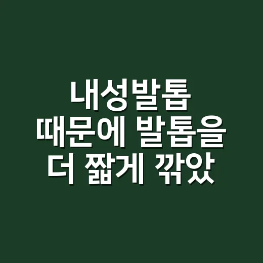 내성발톱 때문에 발톱을 더 짧게 깎았다가 아팠던 이야기 - 요약