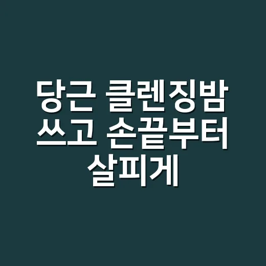 당근 클렌징밤 쓰고 손끝부터 살피게 된 이유 - 요약