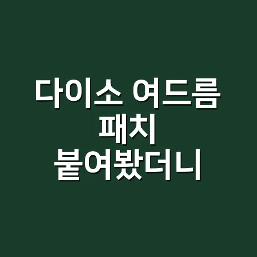 다이소 여드름 패치 붙여봤더니 손이 먼저 보였다 - 요약
