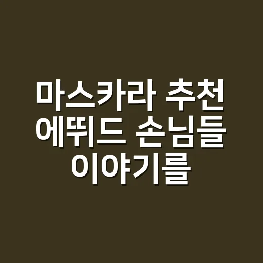 마스카라 추천 에뛰드 손님들 이야기를 듣고 골랐다 - 요약