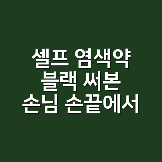 셀프 염색약 블랙 써본 손님 손끝에서 배운 것 - 요약
