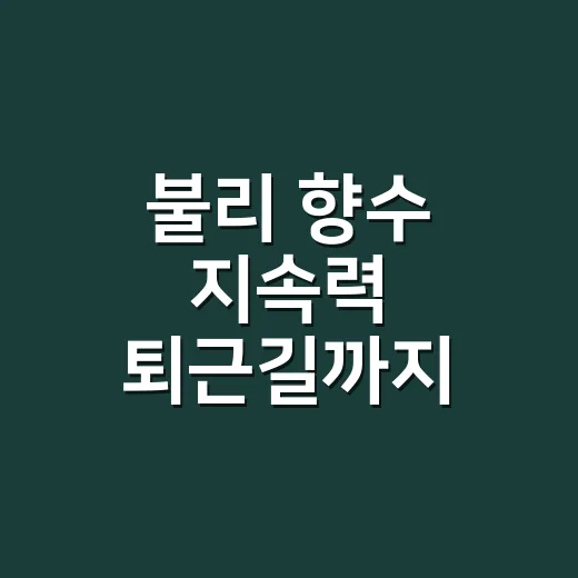 불리 향수 지속력 퇴근길까지 맡아봤더니 - 요약
