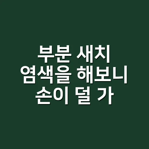 부분 새치 염색을 해보니 손이 덜 가는 방법이 보였다 - 요약