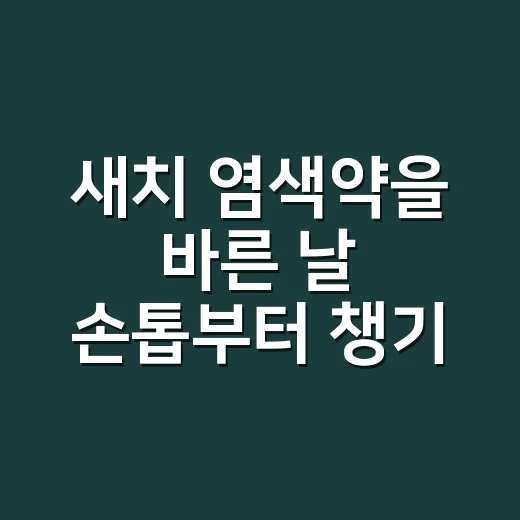 새치 염색약을 바른 날 손톱부터 챙기게 된 이유 - 요약