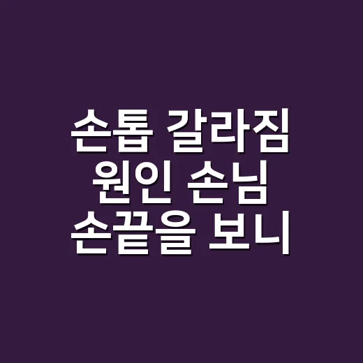 손톱 갈라짐 원인 손님 손끝을 보니 보였다 - 요약