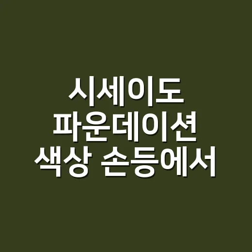 시세이도 파운데이션 색상 손등에서 골랐다가 달라 보인 날 - 요약